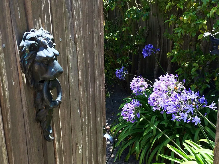 Gate to backyard