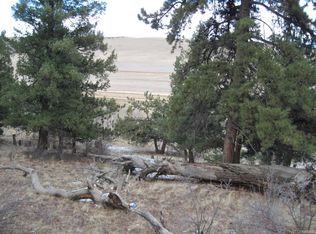 1787 Redhill Rd, Fairplay, CO 80440