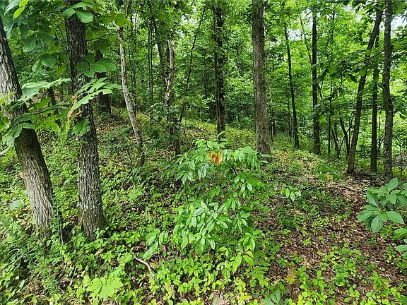 3rd image of 1 Leola Ln