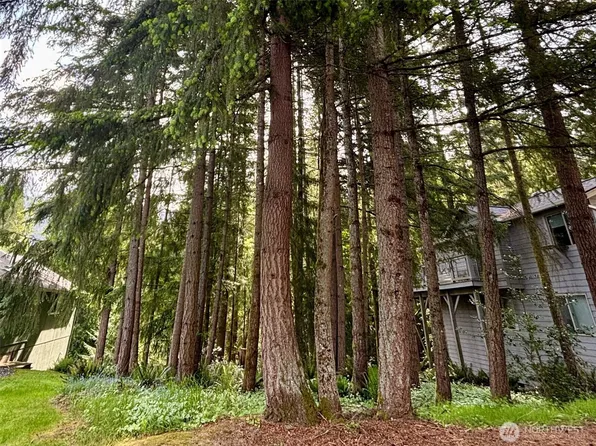 7 Orchid Court, Bellingham, WA 98229