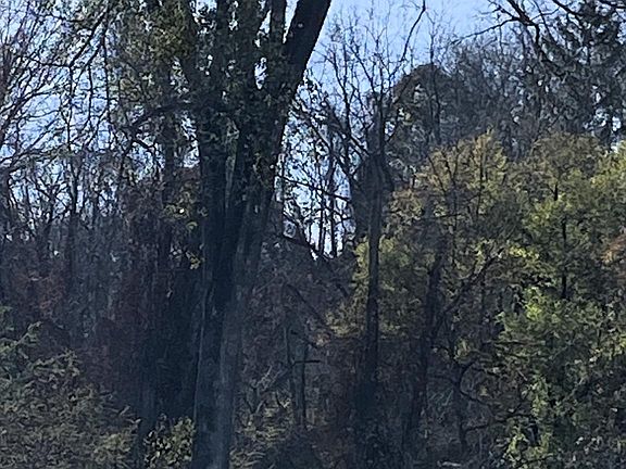 2nd image of Third Renroy Dr