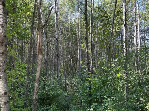 Near Town Line Road, Bennett, WI 54873