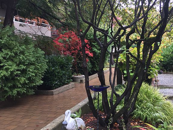 2nd image of 942 100th Ave NE APT 230