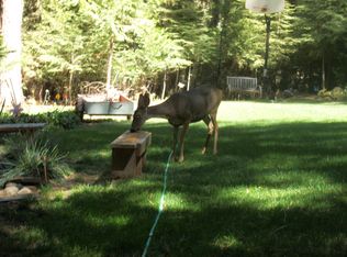 7056 Hites Cove Rd, Mariposa, CA 95338