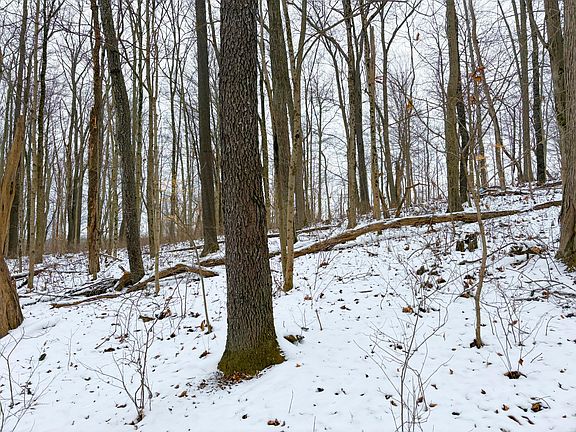 5th image of 0 Morris Ridge Rd Tract 2