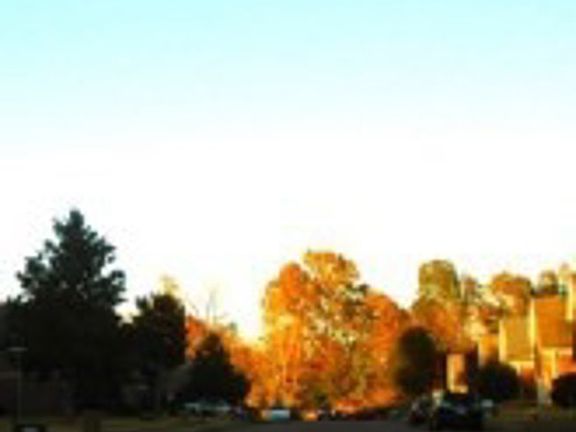 Exterior Neighborhood (street photo)