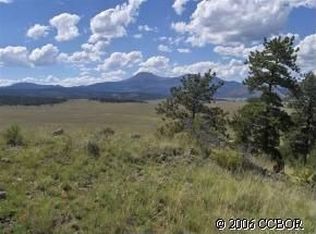 212 Buckboard Way, Hartsel, CO 80449