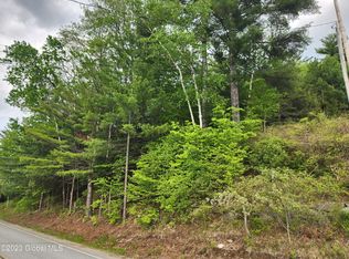 L18 E Shore Dr, Adirondack, NY 12808