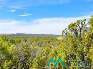 40 Acres Off Cres #B-29, Ribera, NM 87560