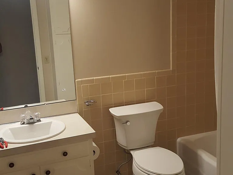 Updated bathroom with luxury vinyl flooring.