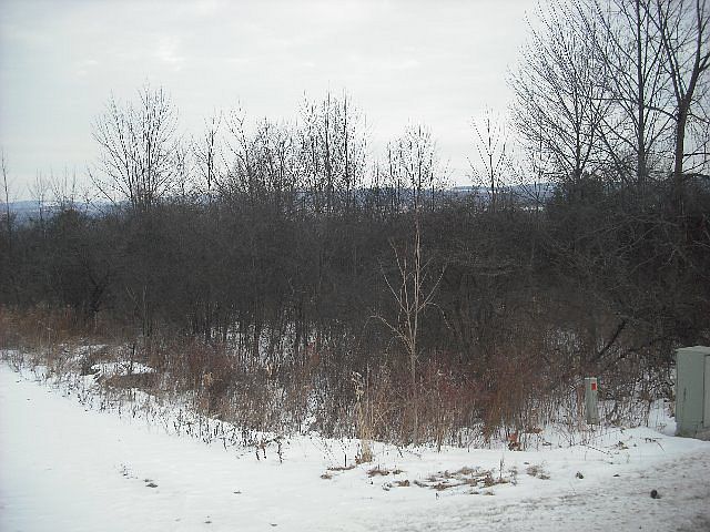 1st image of 0 County Route 16 #Dix