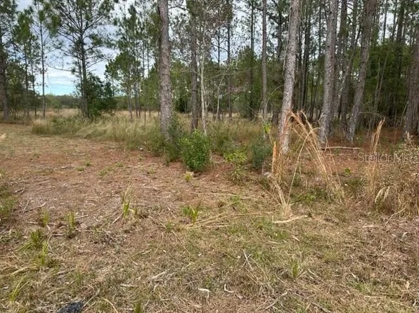 Otter Dr Lot 58, Webster, FL 33597