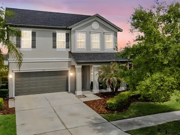 32383 Natural Bridge Rd, Wesley Chapel, FL 33543