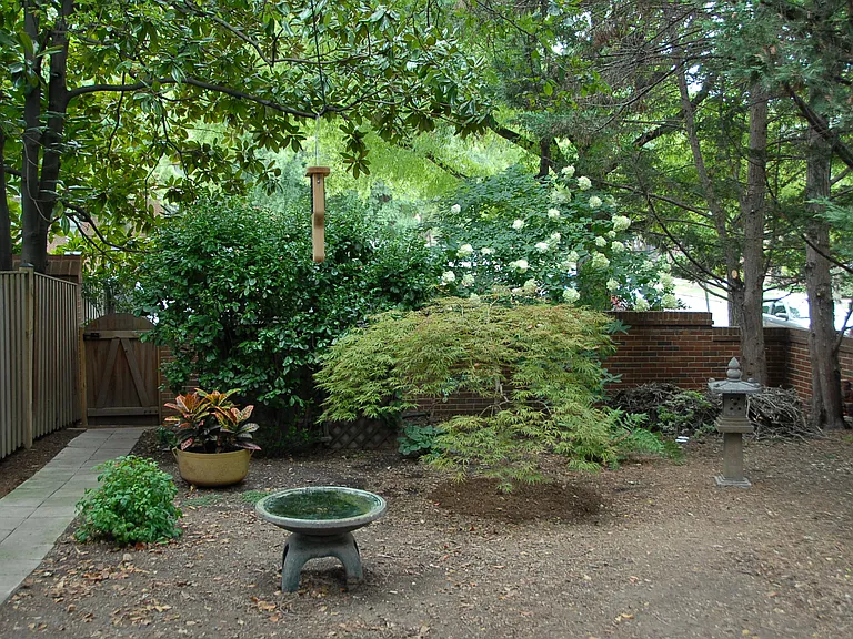 824 Wolfe St — Photo 4