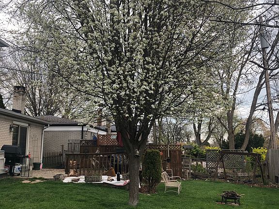Backyard looking toward deck