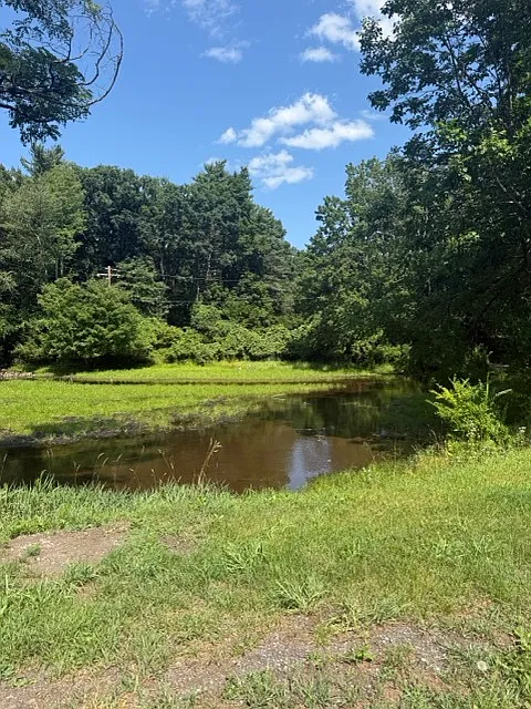 2 bed, $1,600 — Photo 2