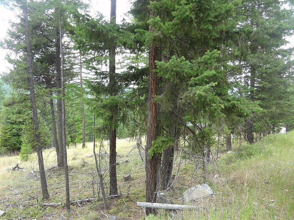 2nd image of Nhn Spring Hill Rd