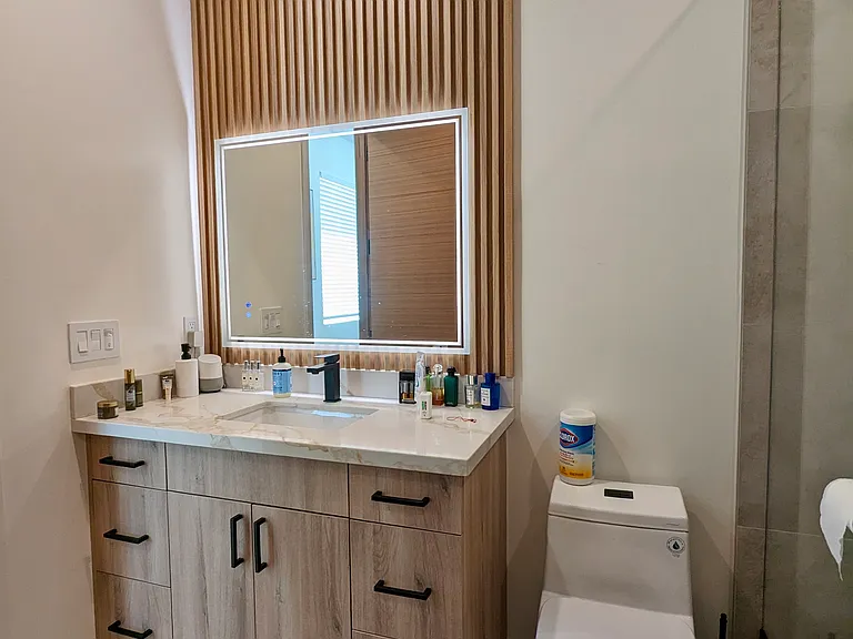 Guest bathroom