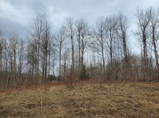 0 Everett Trl, Hale, MI 48739
