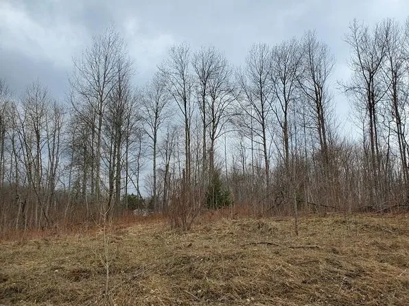 0 Everett Trl, Hale, MI 48739