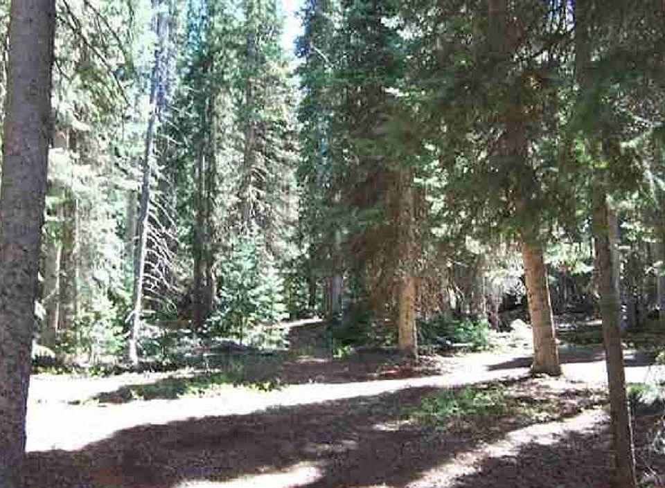 2nd image of 485 Rim Rd