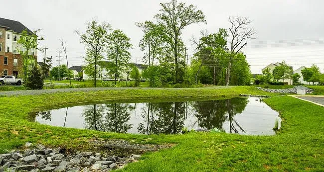 41470 Horse Chestnut Ter — Photo 41