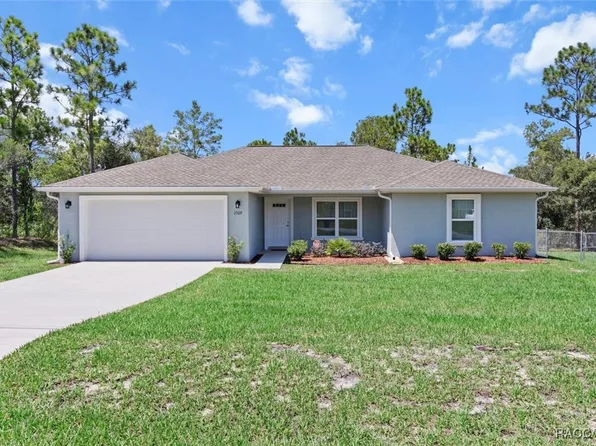 2509 W Chamberlain St, Citrus Springs, FL 34434