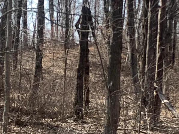 Flower Trl, Pequot Lakes, MN 56472