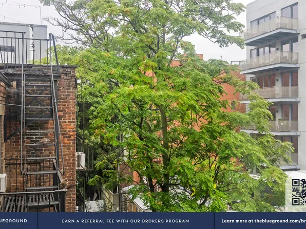 232 Elizabeth Street image 4 of 20