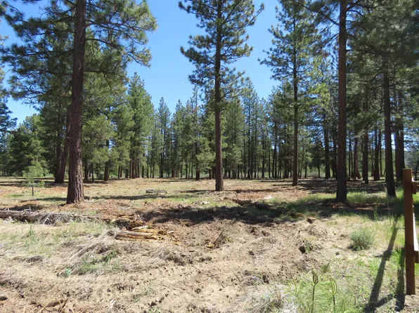 7 Castle Dr, Chiloquin, OR 97624