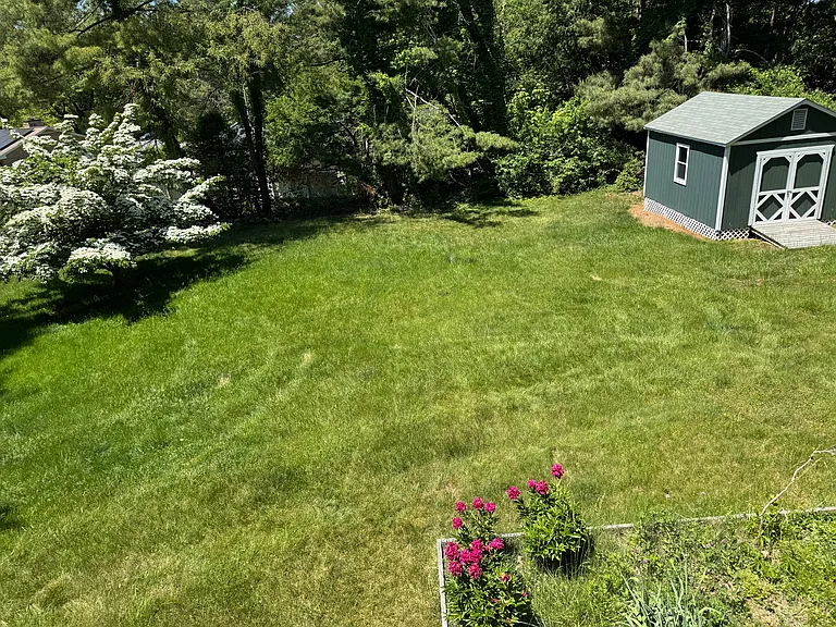 224 Price St — Photo 12