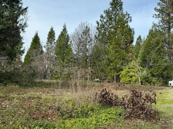 15482 Cleveland Ave, Camptonville, CA 95922