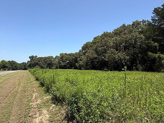 2nd image of 194 County Road 3802a