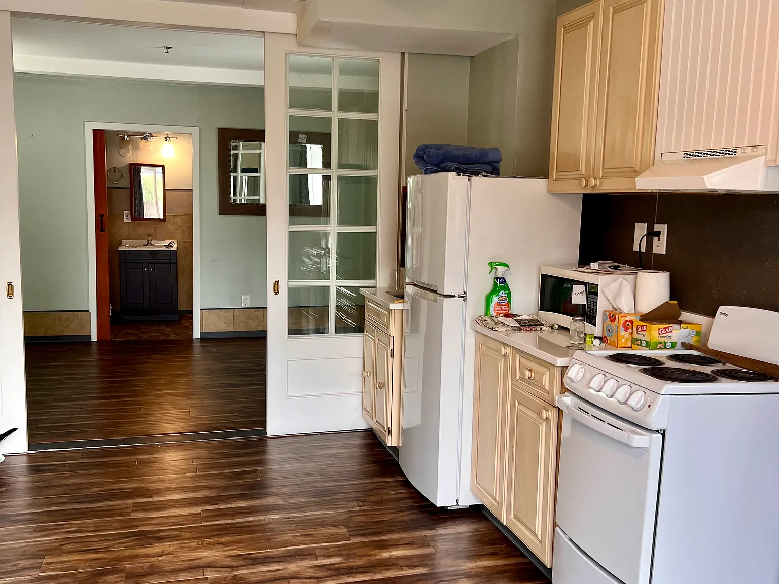 1 bed, 384 sqft, $1,500 — Photo 3