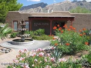 Reflections in the Catalinas