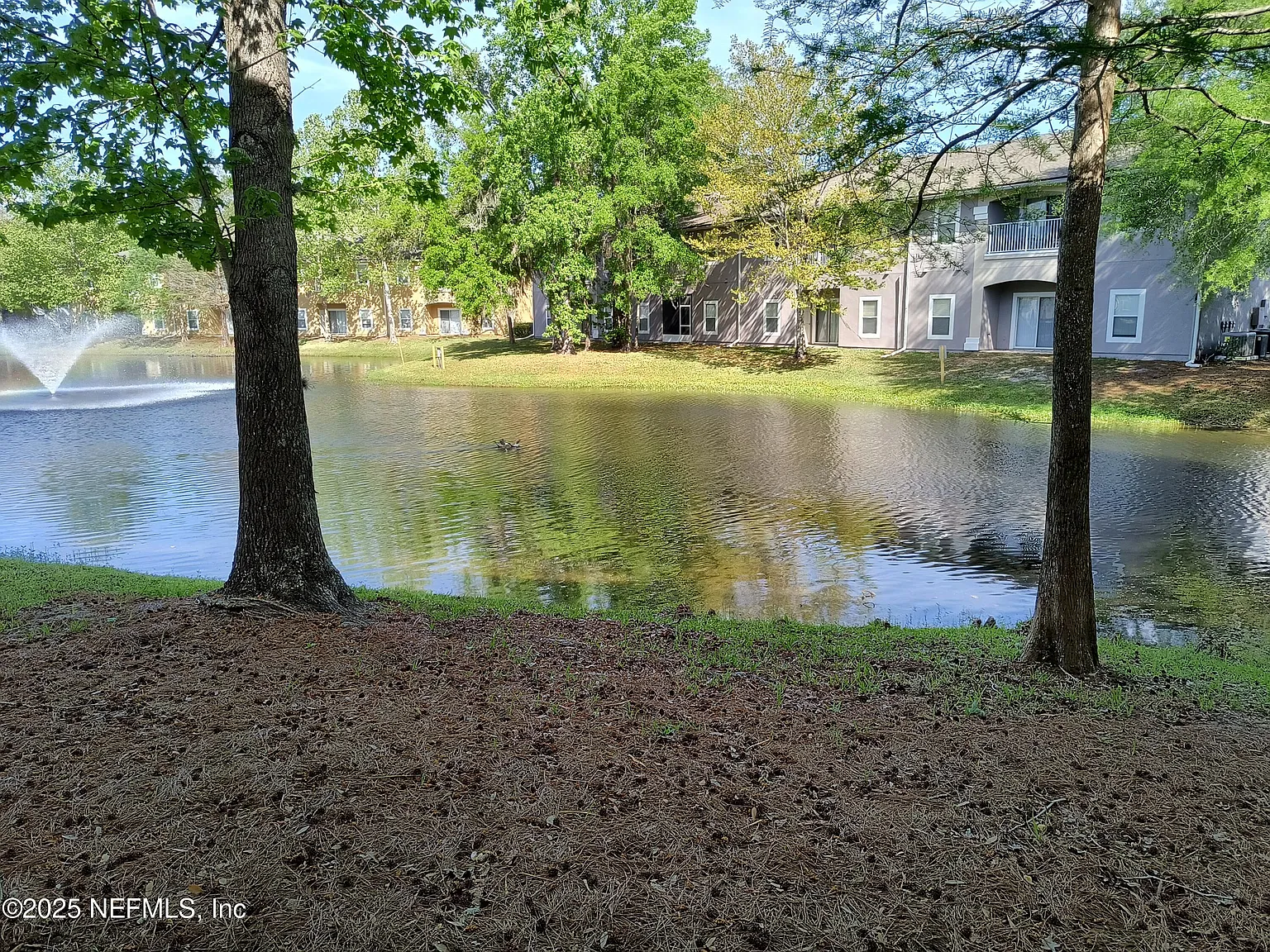 3 bed, 2.0 bath, 1335 sqft, $1,345 — Photo 1