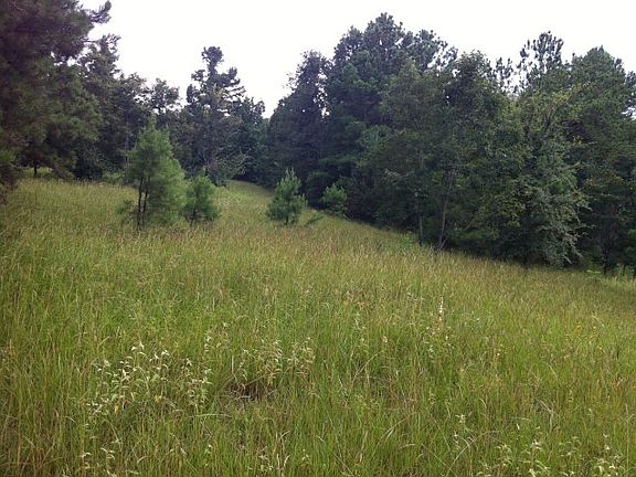 2nd image of 2950 An County Road 386