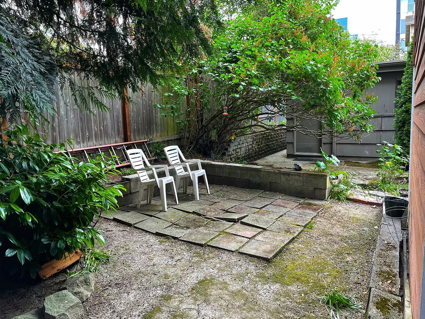 1538 Jr 51st Llc — Photo 2