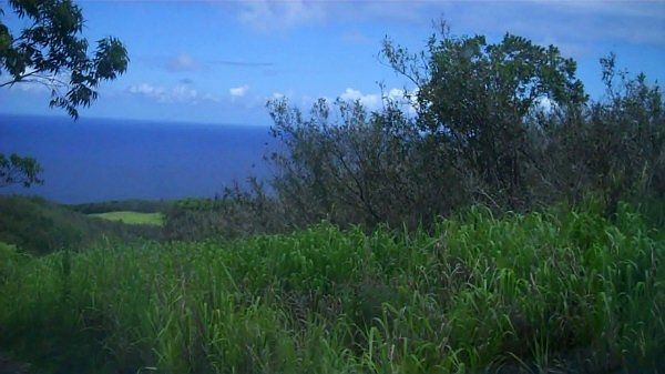 2nd image of LOT 28 Waikaumalo Maulua Lot 28