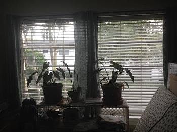 1st image of 3125 36th St N APT 214