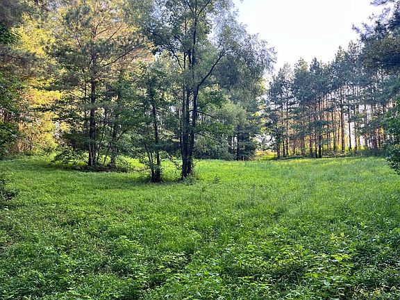 Wildlife Opening/Potential Home/Cabin/Barndominium Site