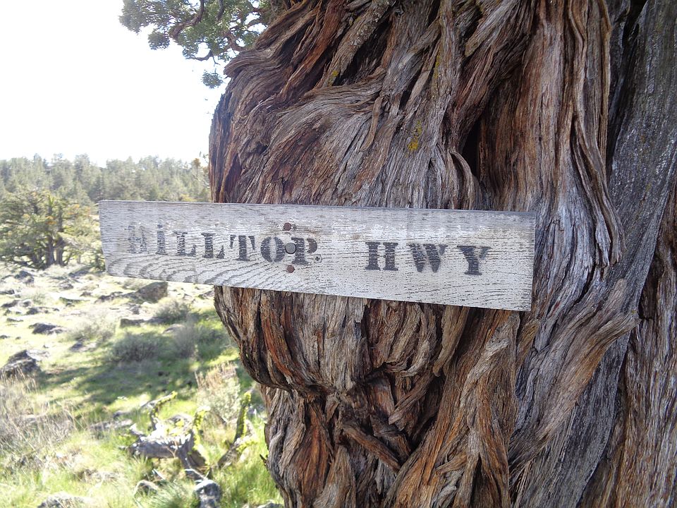 1st image of Lot 569 Hilltop