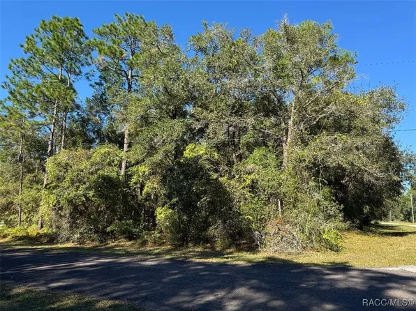 309 W Club Ct, Citrus Springs, FL 34434