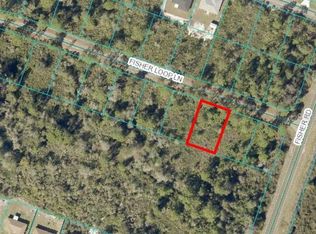 0 Fisher Loop #8, Ocklawaha, FL 32179