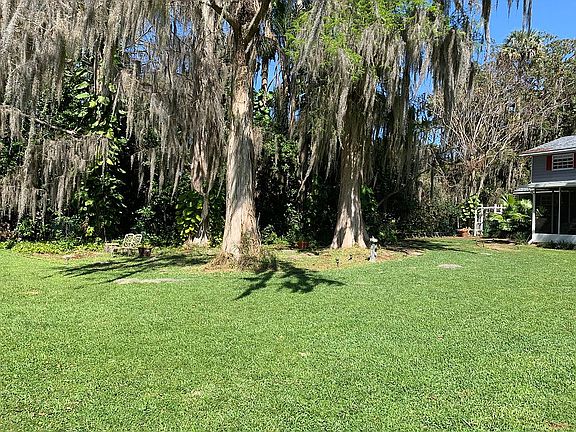 Back yard