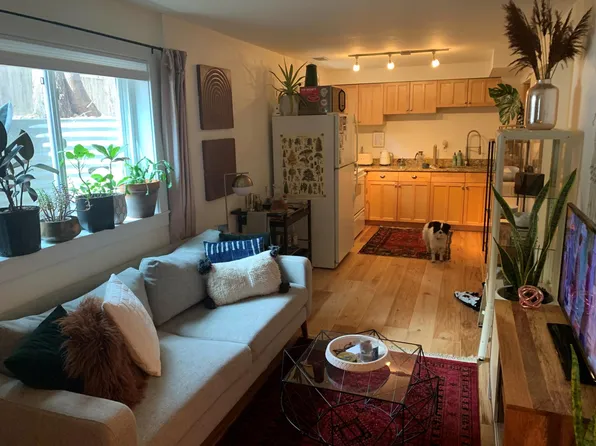 918 Sycamore St #Basement, Fort Collins, CO 80521