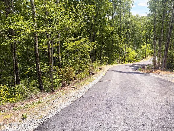 5th image of LOT 16 Meadow View Rd