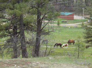 6 Laurel Dr, Pagosa Springs, CO 81147