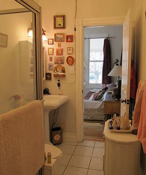 Bathroom going into the living room