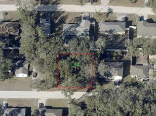 12th St LOT 11, Orange City, FL 32763